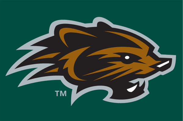 New Hampshire Fisher Cats 2004-2007 Cap Logo v2 iron on transfers for T-shirts